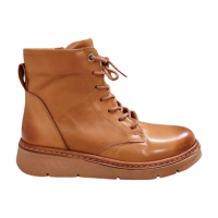 Askel ruskea talvinilkkuri, 3611