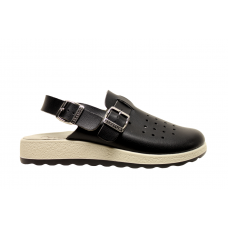 Fly Flotin hollannikas